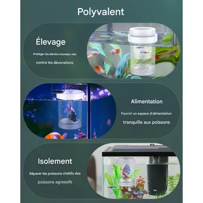 ZooVenture Boîte d'élevage pour poissons d'aquarium