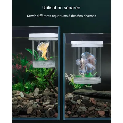 ZooVenture Boîte d'élevage pour poissons d'aquarium