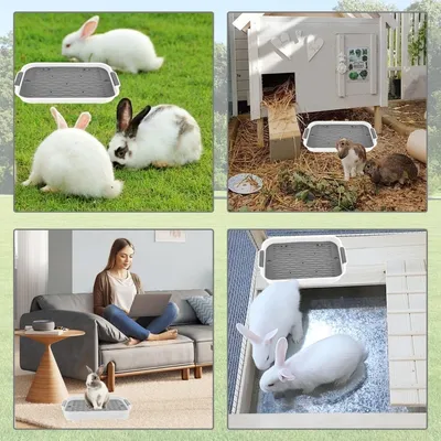 ZooVenture Toilette Pour Petit Animal