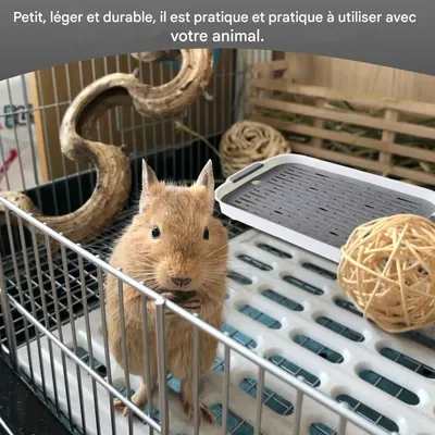 ZooVenture Toilette Pour Petit Animal