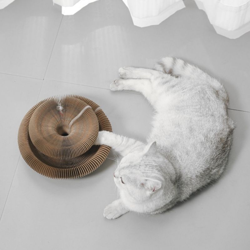 Zoomtopia Planche à gratter transformable pour chat