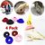 ZooVenture Lot de 4 colliers anti - morsure pour perroquets