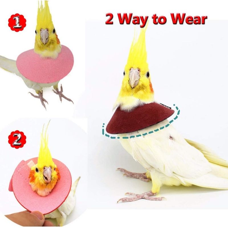 ZooVenture Lot de 4 colliers anti - morsure pour perroquets