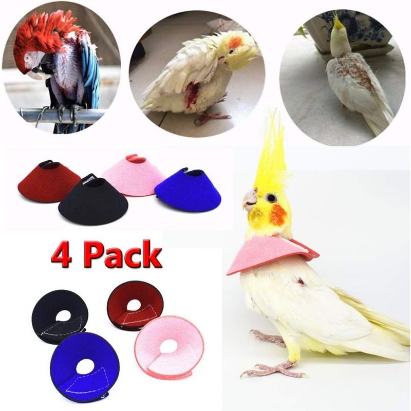 ZooVenture Lot de 4 colliers anti - morsure pour perroquets