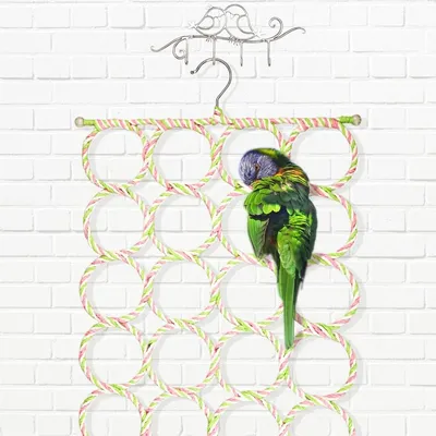 ZooVenture Lot de 2 jouets - balançoires pour perroquets