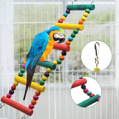 Rocky Ensemble de 12 jouets pour perroquets