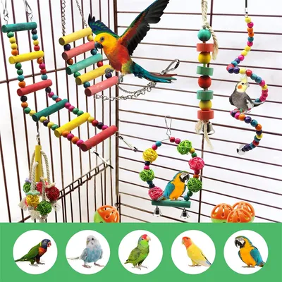 Rocky Ensemble de 12 jouets pour perroquets