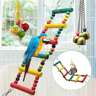 Rocky Ensemble de 12 jouets pour perroquets