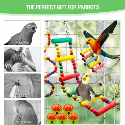 Rocky Ensemble de 12 jouets pour perroquets