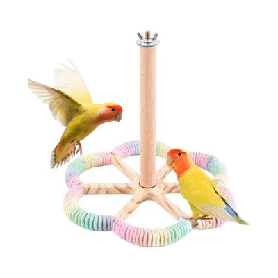 ZooVenture Support de jeu pour perroquets