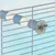 Zoomtopia Perchoir pour oiseaux Zoomtopia Perchoir pour oiseaux