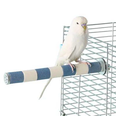 Zoomtopia Perchoir pour oiseaux