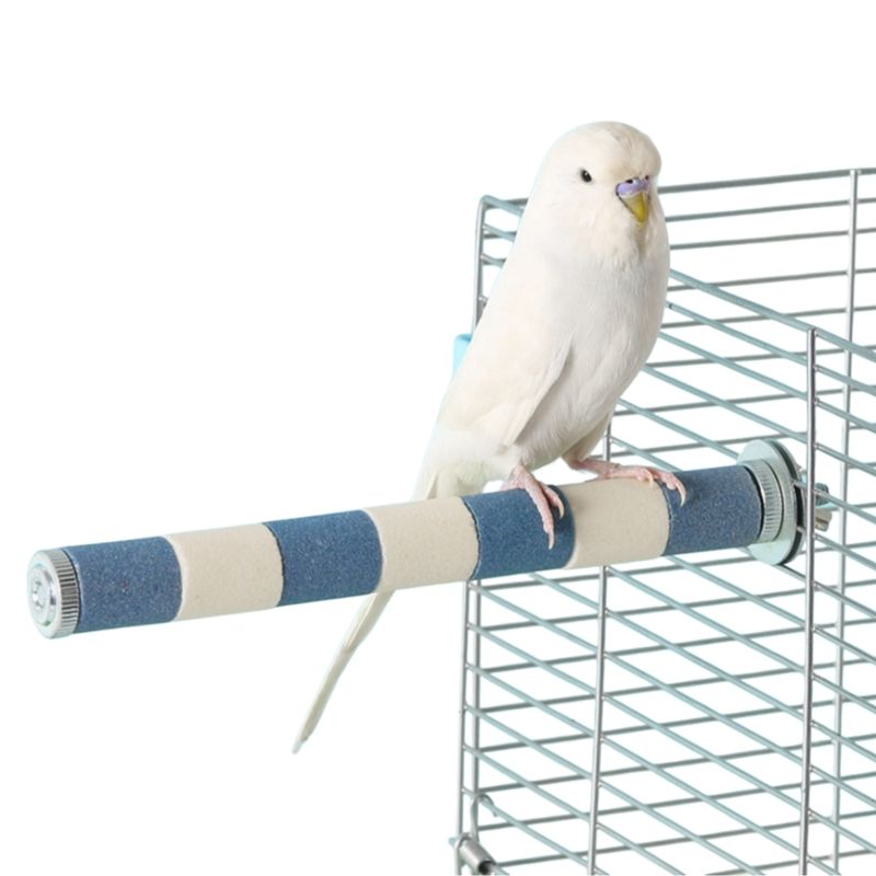 Zoomtopia Perchoir pour oiseaux