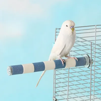 Zoomtopia Perchoir pour oiseaux Zoomtopia Perchoir pour oiseaux