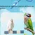 Zoomtopia Perchoir pour oiseaux Zoomtopia Perchoir pour oiseaux