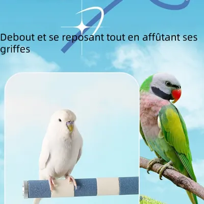 Zoomtopia Perchoir pour oiseaux Zoomtopia Perchoir pour oiseaux