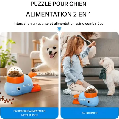 Rocky Jouet distributeur de nourriture pour chien et chat