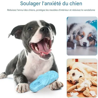 Rocky Jouets de dentition pour animaux de compagnie