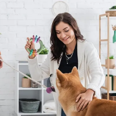 ZooVenture Jouets à mâcher pour chiens et chiots