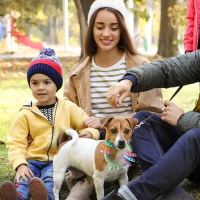 ZooVenture Jouets à mâcher pour chiens et chiots