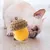 Zoomtopia Jouet interactif pour chien en forme de pomme de pin