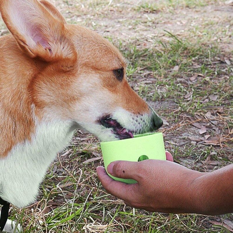 Zoomtopia Jouet distributeur de friandises pour chien