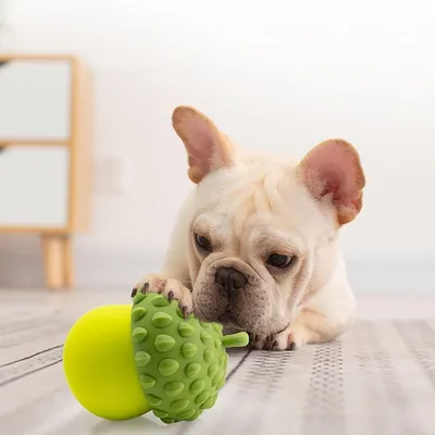 Zoomtopia Jouet interactif pour chien en forme de pomme de pin