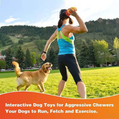 Rocky Paws Jouet à mâcher pour chien - Saucisse sonore pour gros mordeurs