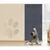 ZooVenture Tapis à gratter autocollant pour chats