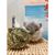 ZooVenture Set de 6 jouets boules d'herbe de Timothy Petits animaux