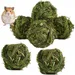 ZooVenture Set de 6 jouets boules d'herbe de Timothy Petits animaux