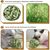 ZooVenture Set de 6 jouets boules d'herbe de Timothy Petits animaux