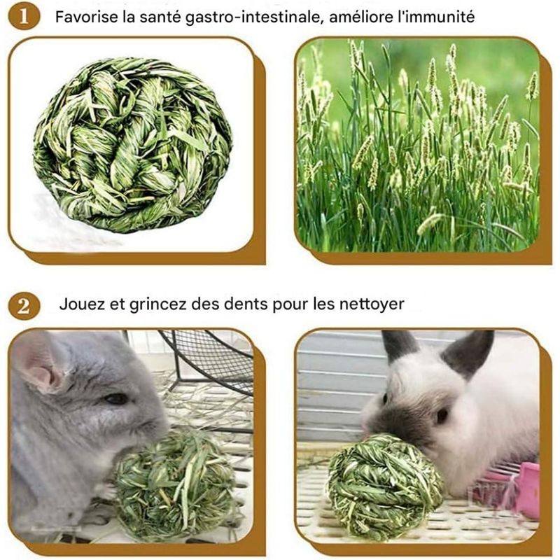 ZooVenture Set de 6 jouets boules d'herbe de Timothy Petits animaux