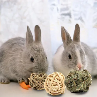 ZooVenture Conjunto de 6 juguetes: conejos, hámsteres y cobayas