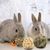 ZooVenture Set de 6 jouets Lapins Hamsters Cobayes