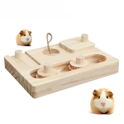 Zoomtopia Jouet de recherche de nourriture pour rongeurs