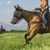 ZooVenture Masque anti-mouches pour chevaux