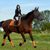 ZooVenture Masque anti-mouches pour chevaux