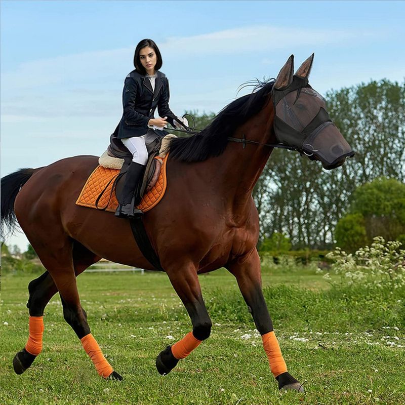ZooVenture Masque anti-mouches pour chevaux