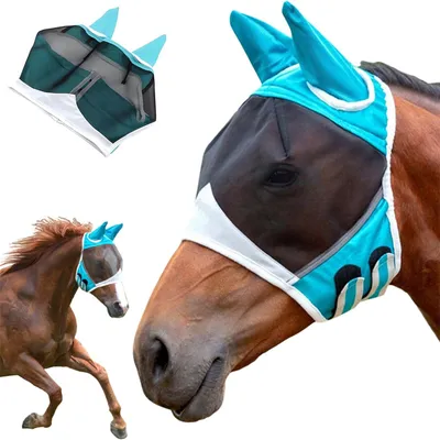 Rocky Masque de cheval