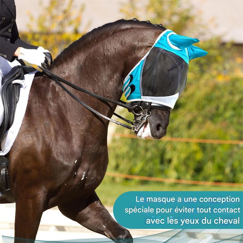 Rocky Masque de cheval