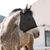 ZooVenture Masque anti-mouches sans oreilles pour chevaux