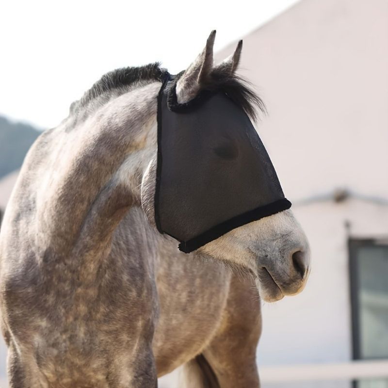 ZooVenture Masque anti-mouches sans oreilles pour chevaux