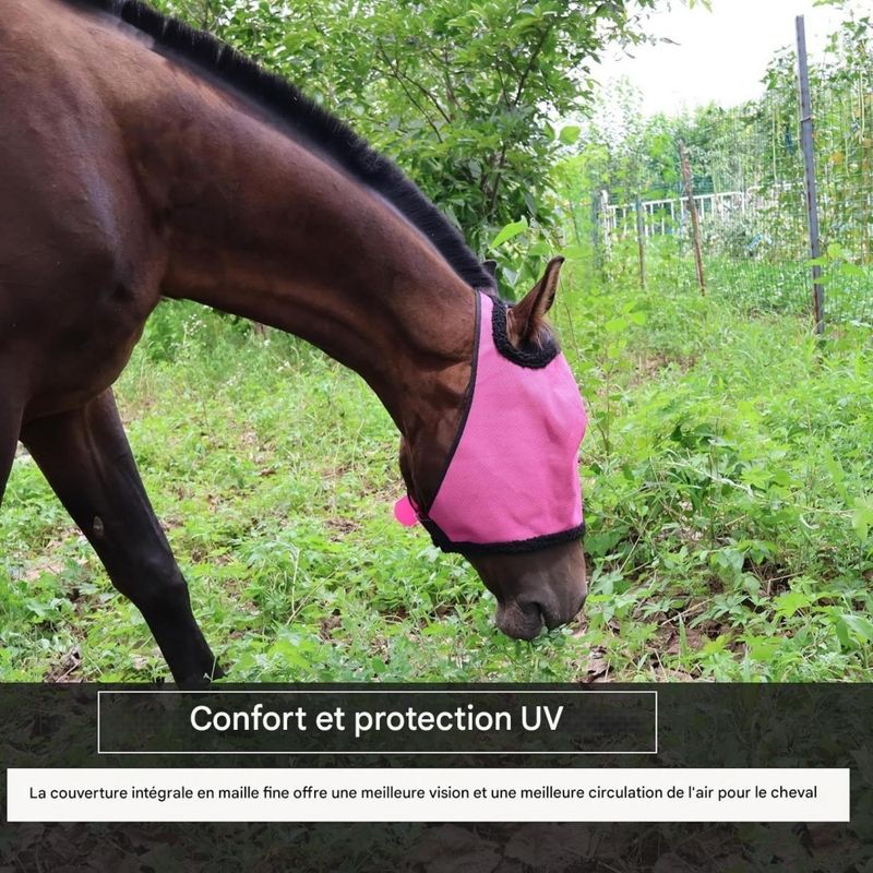 ZooVenture Masque anti-mouches sans oreilles pour chevaux