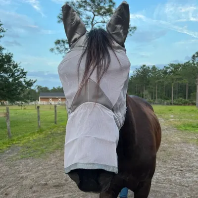 ZooVenture Masque anti-mouches pour chevaux