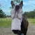 ZooVenture Masque anti-mouches pour chevaux