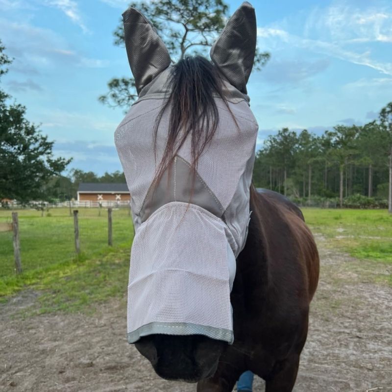 ZooVenture Masque anti-mouches pour chevaux