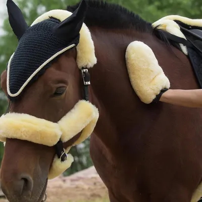 ZooVenture Gant de toilettage pour chevaux ZooVenture Gant de toilettage pour chevaux
