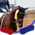 ZooVenture Lot de brosses de nettoyage en silicone pour chevaux ZooVenture Lot de brosses de nettoyage en silicone pour chevaux