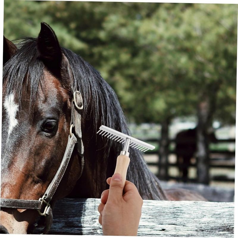 ZooVenture Brosse de nettoyage pour chevaux et vaches